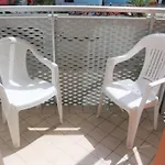Sunny Near The *