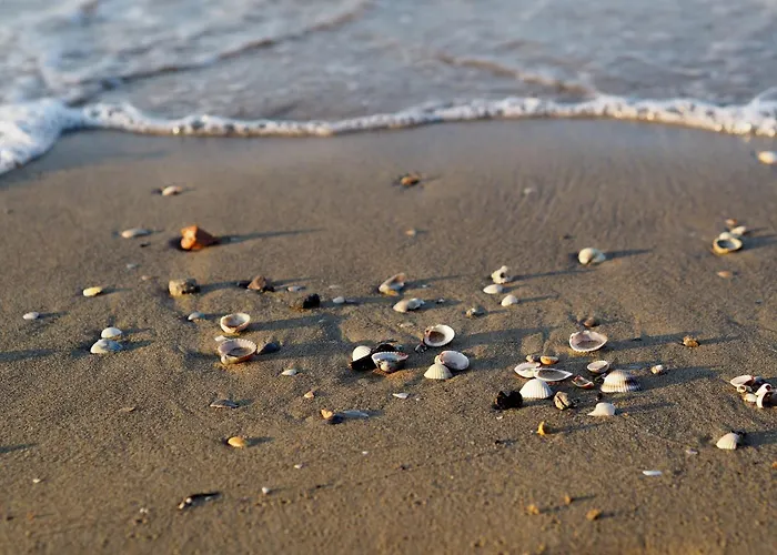 Apartmán Sunny Near The